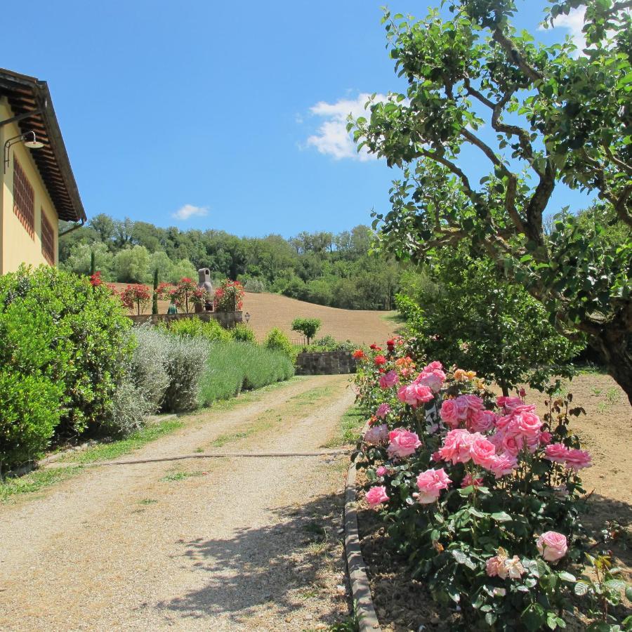 Agriturismo Podere Filicaia San Giovanni Valdarno Esterno foto