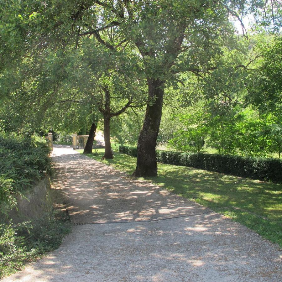 Agriturismo Podere Filicaia San Giovanni Valdarno Esterno foto
