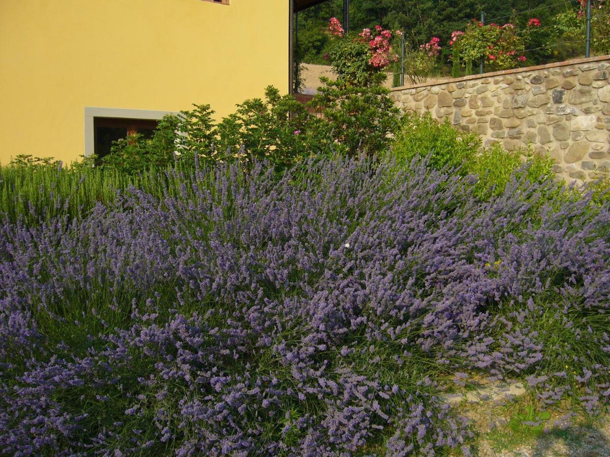 Agriturismo Podere Filicaia San Giovanni Valdarno Esterno foto