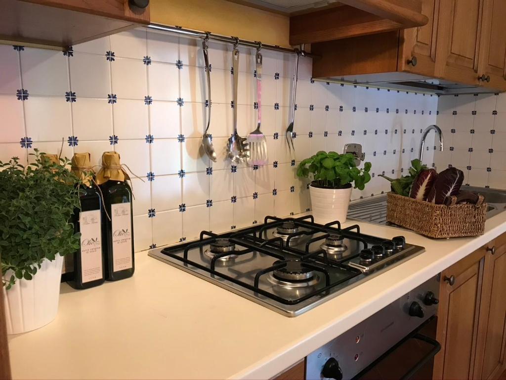 Agriturismo Podere Filicaia San Giovanni Valdarno Esterno foto